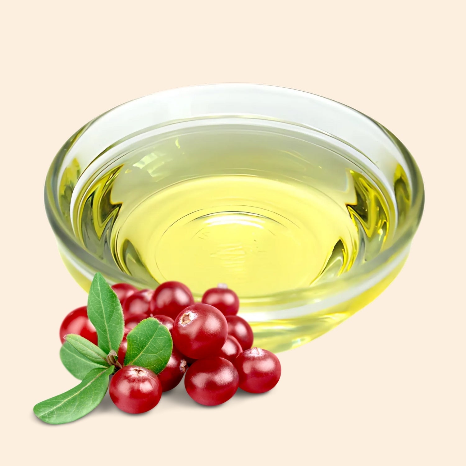 Cranberry Herbal Liquid Extract Cranberry Herbal Liquid Extract